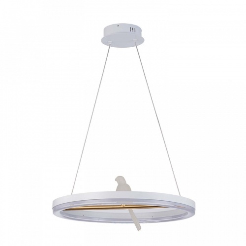 Подвесной светильник F-promo Bardy 4653-1P фото 2 Подвесной светильник F-promo Bardy 4653-1P фото 2