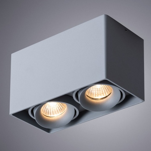 Точечный накладной светильник Arte Lamp PICTOR A5654PL-2GY фото 2