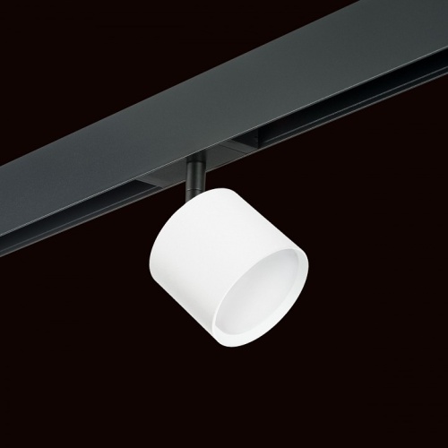 Светильник на штанге Lightstar Rullo PRO3486 фото 2 Светильник на штанге Lightstar Rullo PRO3486 фото 2