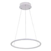 Подвесная люстра Arte Lamp RAPID A2500SP-1WH