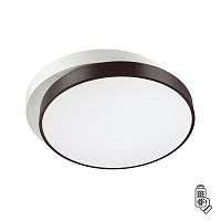 4509/72CL LEDIO LN20 000 белый, черный Люстра потолочная диммир. с ДУ LED 72W 3000-6000К 220V AGATHA