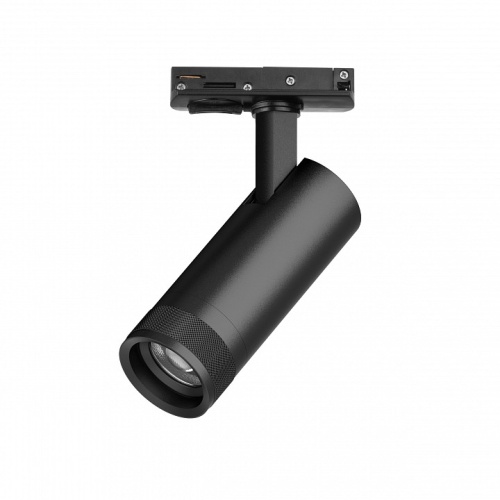 Светильник на штанге Lightstar Canno Pro C4127SS фото 2