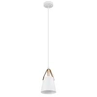 Подвесной светильник Arte Lamp THOMAS A7032SP-1WH