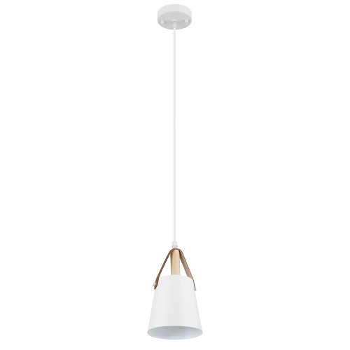 Подвесной светильник Arte Lamp THOMAS A7032SP-1WH Подвесной светильник Arte Lamp THOMAS A7032SP-1WH