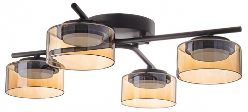 Потолочная люстра Citilux ESPACE CL243141 Потолочная люстра Citilux ESPACE CL243141