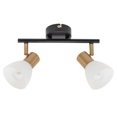 Спот Arte Lamp FALENA A3117PL-2BK Спот Arte Lamp FALENA A3117PL-2BK