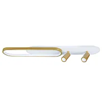 Потолочный светильник Arte Lamp LUCAS A2600PL-32GO