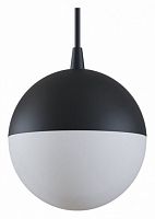Подвесной светильник Maytoni Track lamps TR018-2-10W3K-B