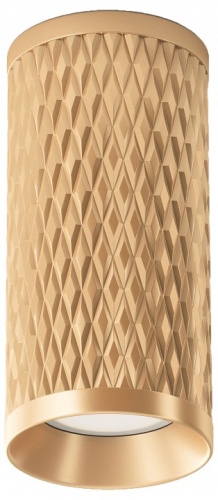 Накладной светильник Maytoni Technical Focus Design C036CL-01G