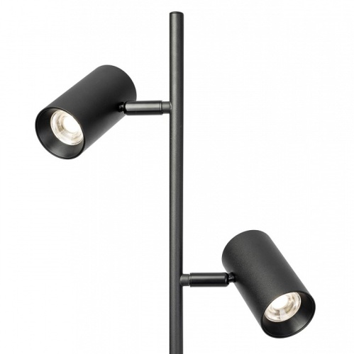 Торшер Citilux Twin CL809011N фото 3