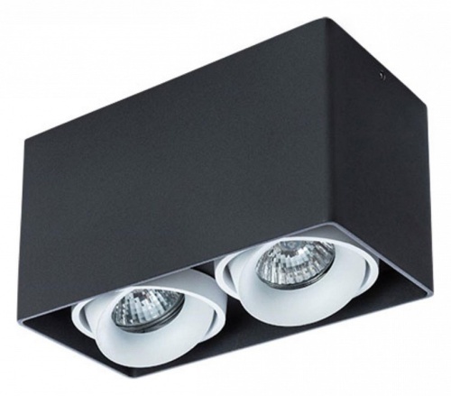 Накладной светильник Arte Lamp Pictor A5654PL-2BK Накладной светильник Arte Lamp Pictor A5654PL-2BK