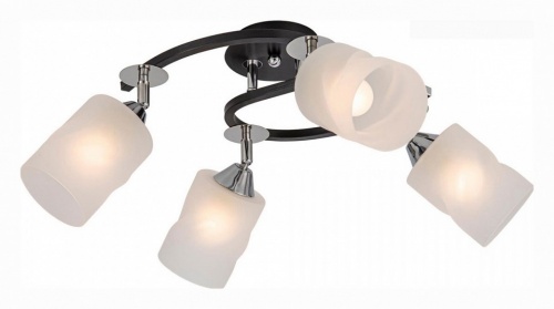 Потолочная люстра Citilux Сиерра CL119241 Потолочная люстра Citilux Сиерра CL119241