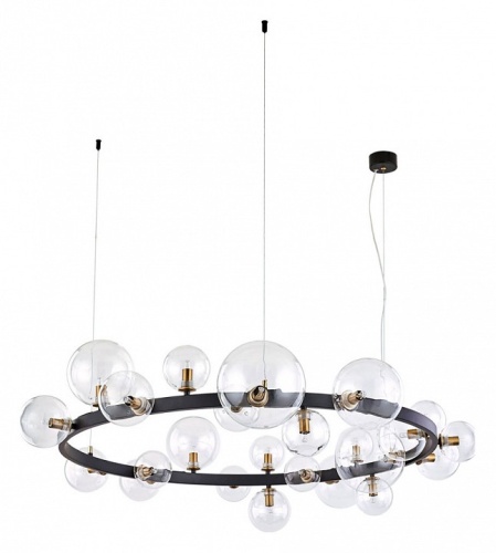Подвесная люстра Arte Lamp VINCENT A7790SP-24BK фото 2