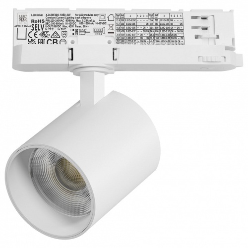 Светильник на штанге Lightstar Alta Base A5446QT