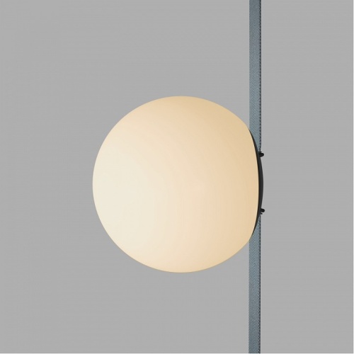 Накладной светильник Denkirs BELTY ORB DK5551-BK фото 9