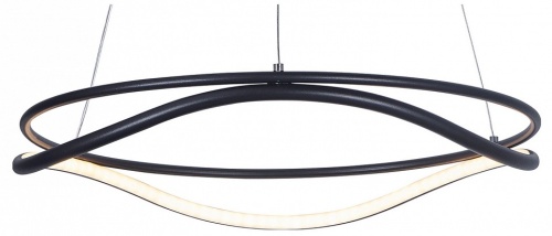 Подвесной светильник Lightstar Rotonda 736517 Подвесной светильник Lightstar Rotonda 736517