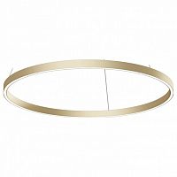 Подвесной светильник Maytoni Rim MOD058PL-L42BS4K