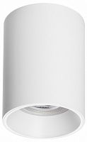 Накладной светильник Lightstar Rullo 213436