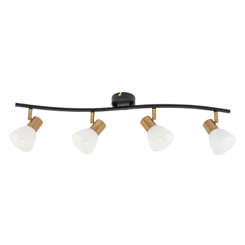 Спот Arte Lamp FALENA A3117PL-4BK Спот Arte Lamp FALENA A3117PL-4BK