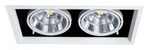 Карданный светильник Arte Lamp MERGA A8450PL-2WH фото 2
