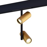 ST808.246.16 Магнитный трековый светильник Золотистый LED 1*16W 4000K 1 250Lm Ra>90 36° IP20 D45xH240 48VV