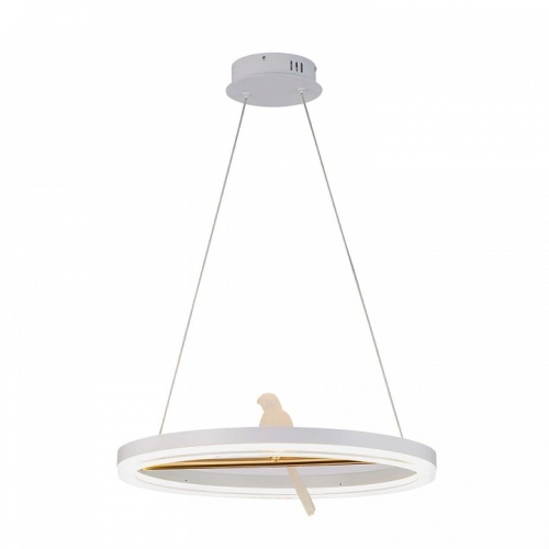 Подвесной светильник F-promo Bardy 4653-1P фото 3 Подвесной светильник F-promo Bardy 4653-1P фото 3