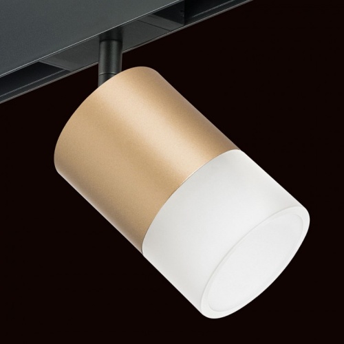 Светильник на штанге Lightstar Rullo PRO349081 фото 4