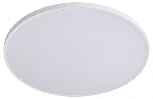 Накладной светильник Lightstar Arco Eco 225720 Накладной светильник Lightstar Arco Eco 225720