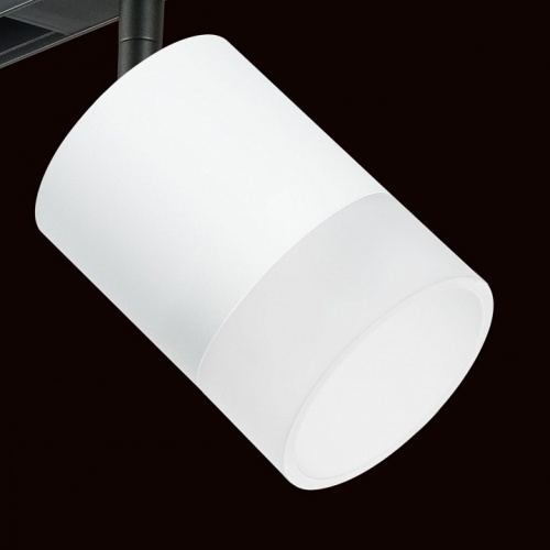 Светильник на штанге Lightstar Rullo PRO348681 фото 4 Светильник на штанге Lightstar Rullo PRO348681 фото 4