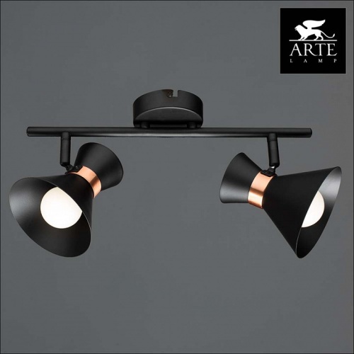 Спот Arte Lamp Baltimore A1406AP-2BK фото 3