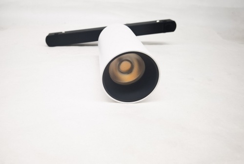 Светильник на штанге Maytoni Technical Focus LED TR032-2-12W3K-S-W фото 4