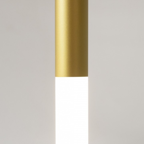 Подвесной светильник Maytoni Pro Shade MOD157PL-L6GK фото 7