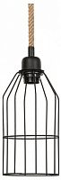 Подвесной светильник TopLight Alfreda TL1601H-01BK