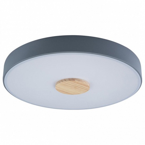 Накладной светильник Loft it Axel 2 10003/24 Grey Накладной светильник Loft it Axel 2 10003/24 Grey