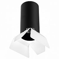 Накладной светильник Lightstar Rullo R6487486