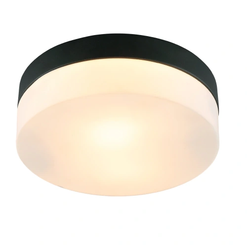 Потолочный светильник Arte Lamp AQUA-TABLET A6047PL-2BK Потолочный светильник Arte Lamp AQUA-TABLET A6047PL-2BK