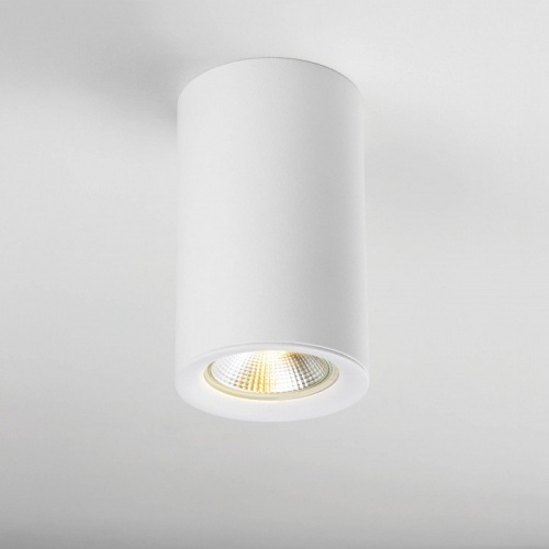 Рамка на 1 светильник Lightstar Rullo 204436 фото 2