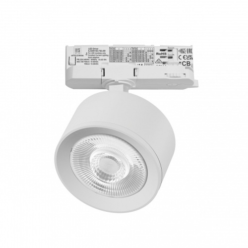 Светильник на штанге Lightstar Alta Pro A5536QT60G фото 2