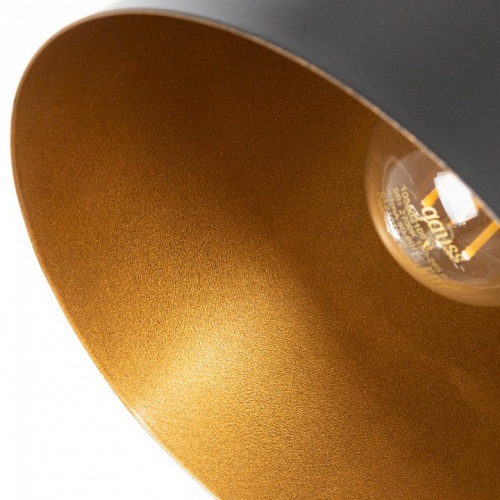 Бра Arte Lamp Thomas A7032AP-1BK фото 5