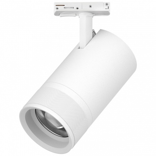 Светильник на штанге Lightstar Canno Pro C4406SS фото 2