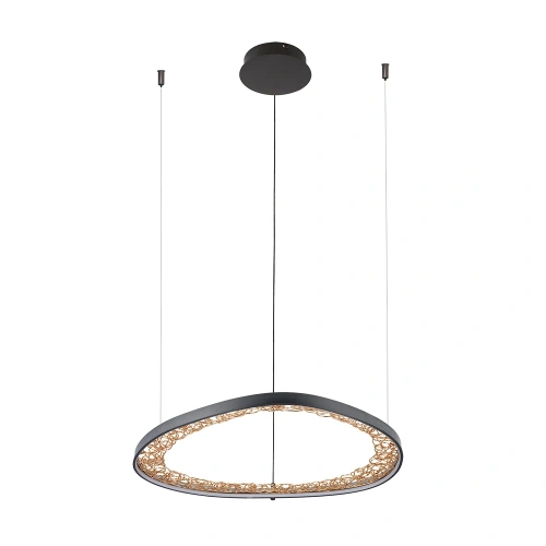 Подвесная люстра Arte Lamp CINTA A1847SP-36BK Подвесная люстра Arte Lamp CINTA A1847SP-36BK