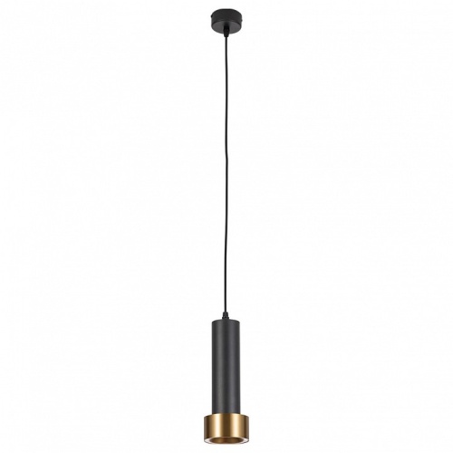 Подвесной светильник Arte Lamp RAN A3147SP-1BK фото 2