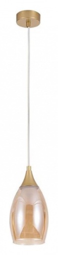 Подвесной светильник Arte Lamp BARRY A7951SP-1GO фото 2 Подвесной светильник Arte Lamp BARRY A7951SP-1GO фото 2