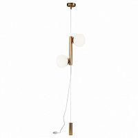 Светильник на растяжке Maytoni Erich MOD221FL-01G