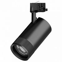 Светильник на штанге Lightstar Canno Pro C4407QT