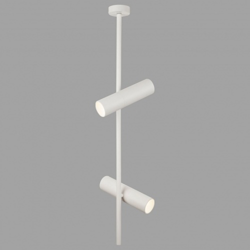 Светильник на штанге Maytoni Technical Elti C021CL-02W фото 3 Светильник на штанге Maytoni Technical Elti C021CL-02W фото 3