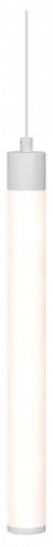 Подвесной светильник Maytoni Technical Ray P022PL-L10W