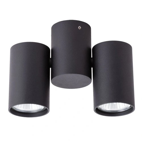 Спот Arte Lamp GAVROCHE A1511PL-2BK Спот Arte Lamp GAVROCHE A1511PL-2BK