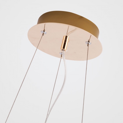 Подвесной светильник NEST D40 фото 6 Подвесной светильник NEST D40 фото 6