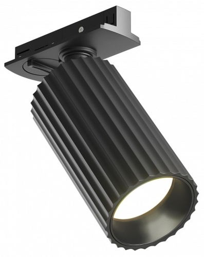 Светильник на штанге Maytoni Technical Calipso TR218-1-GU10-BK